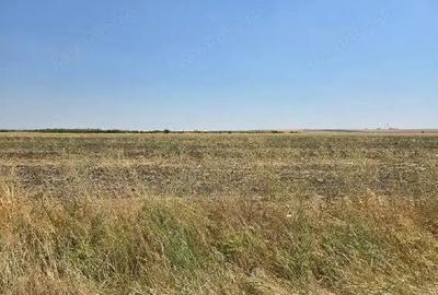 Teren de 4300 mp, în Smârdioasa - 5