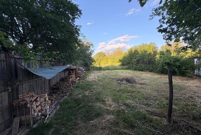 Casă cu 4 camere cu Teren 1051 Mp în Târgu Logrești - 5