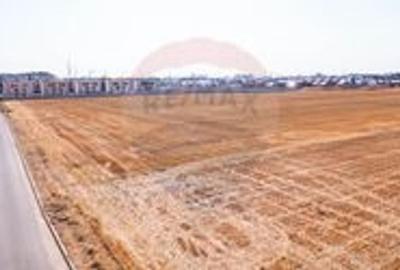 Teren agricol intravilan de 5000 mp, în Dobroești - 3