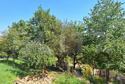 Casa 3 camere, 129mp, zona Viisoara , teren 1240mp - 7