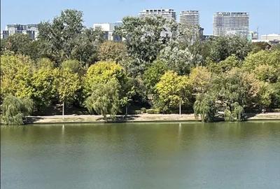 Colentina Rau -McDonald's - 29