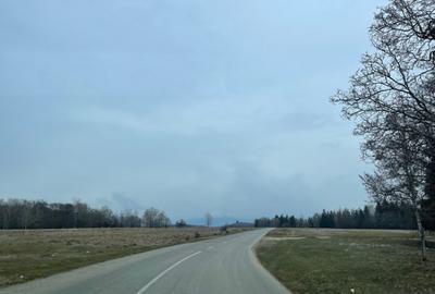 Teren Construcții intravilan de 40000 mp, în Teișani - 2