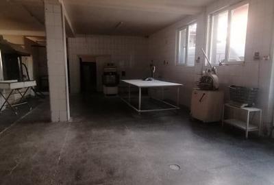 Spatiu ideal PRODUCTIE, 287 mp. , curte generoasa - 12