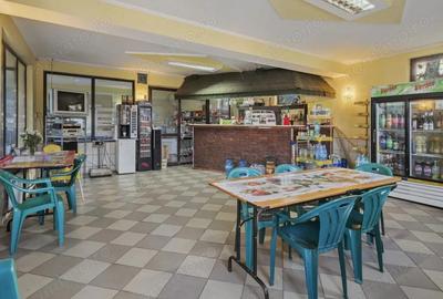 COMISION 0% | 2 Case cu Spatiu Comercial | Teren 1019mp | 540 eur/mp - 37