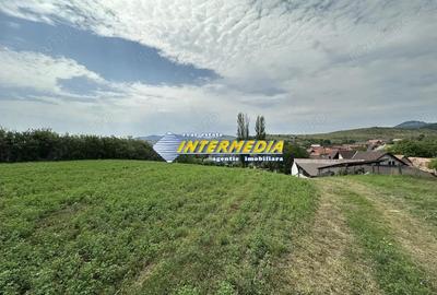 Vanzare Teren Intravilan Ighiu-Telna 2060 mp deschidere 20 m asfalt apa gaz curent canal vedere si - 6