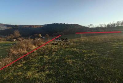 Teren de 3415 mp, în Luncoiu de Sus - 5