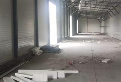 Hala noua 600 mp Giurgiului ( Progresul ) - 6