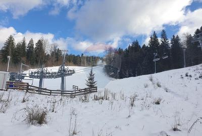 Oportunitate de investitie ! Teren intravilan, 19086 mp, Poiana Brasov - 11