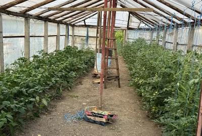 Casa Lacu Sarat Brailei Casa Lacu Sarat Brailei - 10