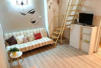 Apartament inchiriere renovat si mobilat MAZEPA , PARCUL VIVA Apartament inchiriere renovat si mobilat MAZEPA , PARCUL VIVA - 5