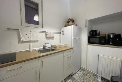Apartament istoric in Piata Iosefin Amenajat pentru Booking/AirBnb - 4