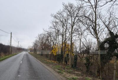 Teren intravilan de vanzare, 2.500 mp, Str Gorunului - 3