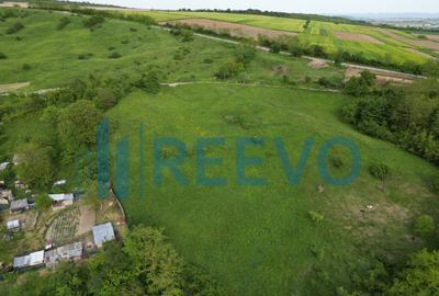 Teren de vanzare, Com. Racova, Str. Bradului, Bacau - 4