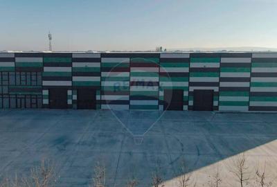 Hala de vanzare, Sc 7014mp, Zona Biharia - 10