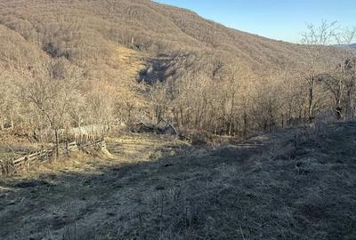 Teren de 1780 mp, în Valea Doftanei - 7