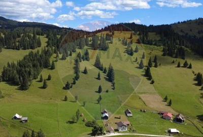 Teren de 14318 mp, în Paltin - 2