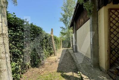 Cabana rustica de vis pe Valea Avrigului – un colt de rai in mijlocul naturii - 12