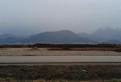 Teren agricol extravilan de 9000 mp, în Nord-Vest - 6