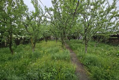 Casă individuală cu 11 camere cu Teren 5000 Mp în Central - 24