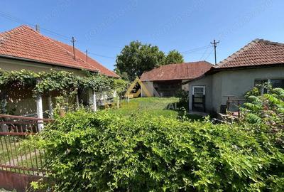 Casă cu 3 camere cu Teren 3120 Mp în Hideaga - 10