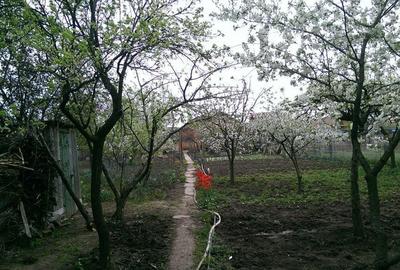Casă cu 4 camere în Central - 3