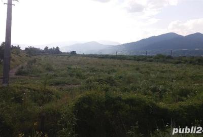 Teren în Viișoara - 1