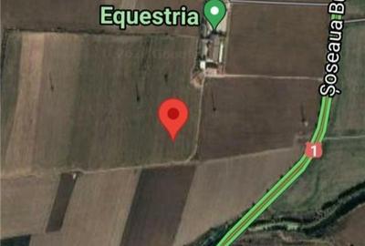 Spațiu comercial, în Săftica