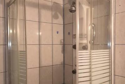 Apartament cu 2 camere decomandat, mobilat în Gorjului - 4