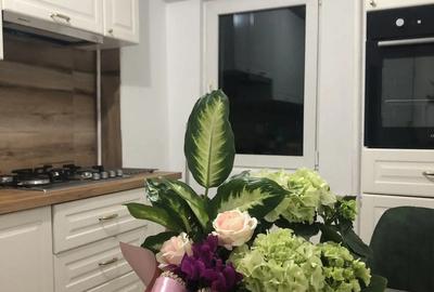 Inchiriez apartament cu 1 camera-Lacul Tei- Circului-Barbu Vacarescu - 4