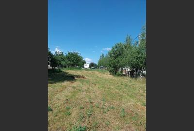 Teren 1942 mp, Baicoi, EUR32.500 - 3