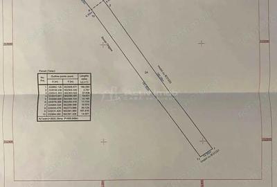 Casă cu Teren 3600 Mp în Ulmi - 1