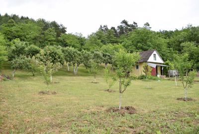 Teren de 3000 mp, în Fizeșu Gherlii - 5