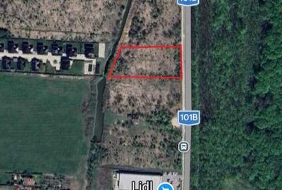 Teren în Snagov - 6