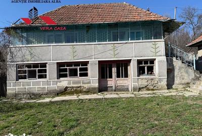 Casă cu 4 camere cu Teren 7701 Mp în Vințu de Jos - 2