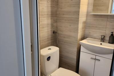 Ion Brezoianu, Cismigiu, Universitate Garsoniera de inchiriat - 3