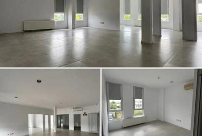 Inchiriez Hala 700mp + 130mp birouri Manolache - Ilfov A0-A2-DnCB - 3