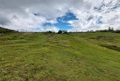 Teren extravilan 10000 mp, com Panatau - 8