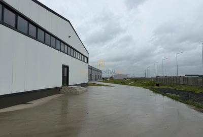 Spațiu industrial, de 589 mp, în Căldăraru - 8
