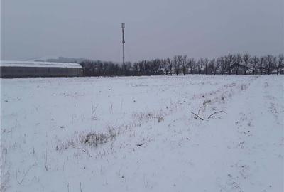 Teren de 7800 mp, în Central - 5