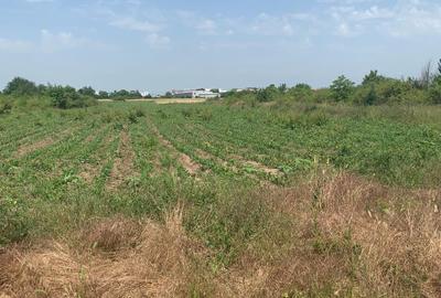 Teren Construcții extravilan de 7500 mp, în Afumați - 7