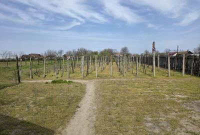 Casă cu 4 camere în Soreni - 4