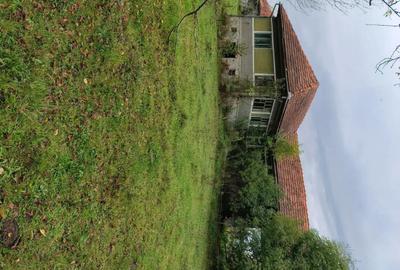 Casă cu Teren 20000 Mp în Vârfurile - 5