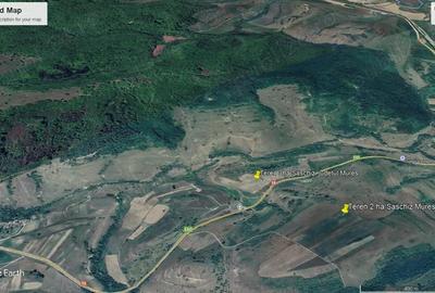 Teren de 30000 mp, în Saschiz - 1