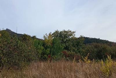 🏡  Casă de Poveste în Șiria, Arad- Locație Rară - 12