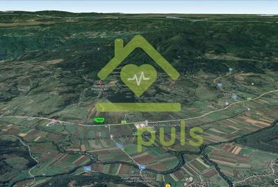 ? Teren intravilan 10.000 mp Mesteacan, jud. Hunedoara ? - 8