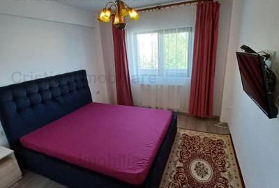 Apartament cu 3 camere decomandat în Radu Negru - 8