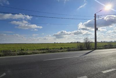 Teren 3,8 ha in Vama Veche pe partea cu marea, la 300 ml de granita - 5