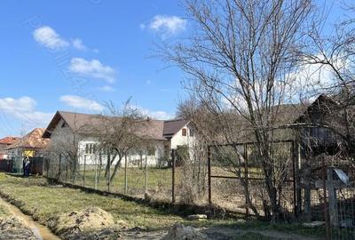 Casă cu 7 camere cu Teren 2650 Mp în Colțești - 10