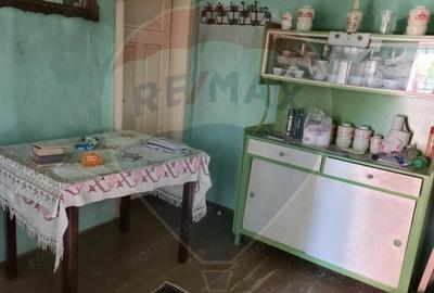 Casă cu 4 camere cu Teren 1105 Mp în Câmpulung la Tisa - 4