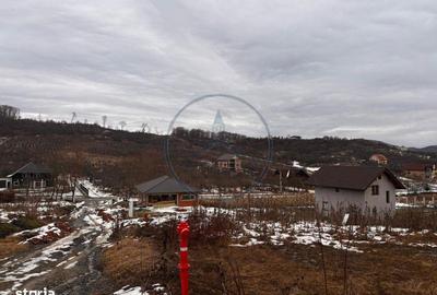 Teren de 550 mp, în Central